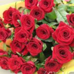 赤薔薇/花束/記念日/誕生日